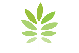 Starter Kit 10 x 15ml Essential Oils